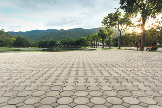 Best Residential Paver Driveway  in Marine, IL